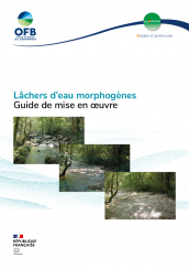GP2021_LachersMorphogenes_couv.png