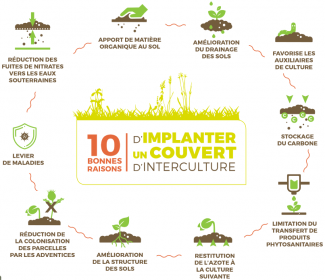 Schéma extrait de "La gestion de l'interculture" (Agrifaune)